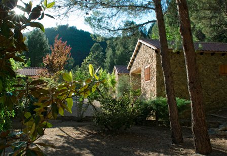 Casas Rurales Batan Rio Tus