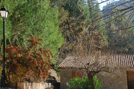 Casas Rurales Batan Rio Tus