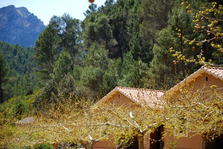 Casas Rurales Batan Rio Tus