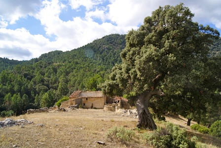 Casas Rurales Batan Rio Tus