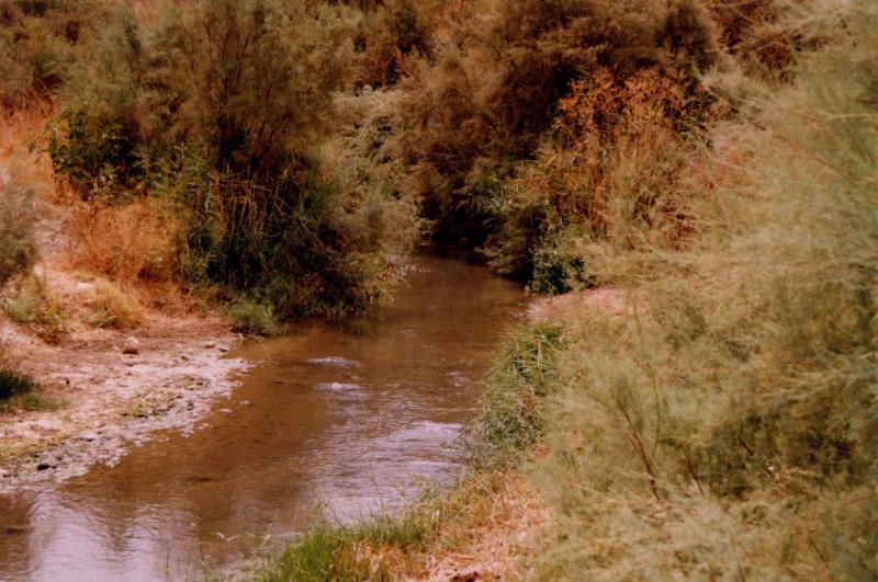 Alojamiento Rural Los Tarajes