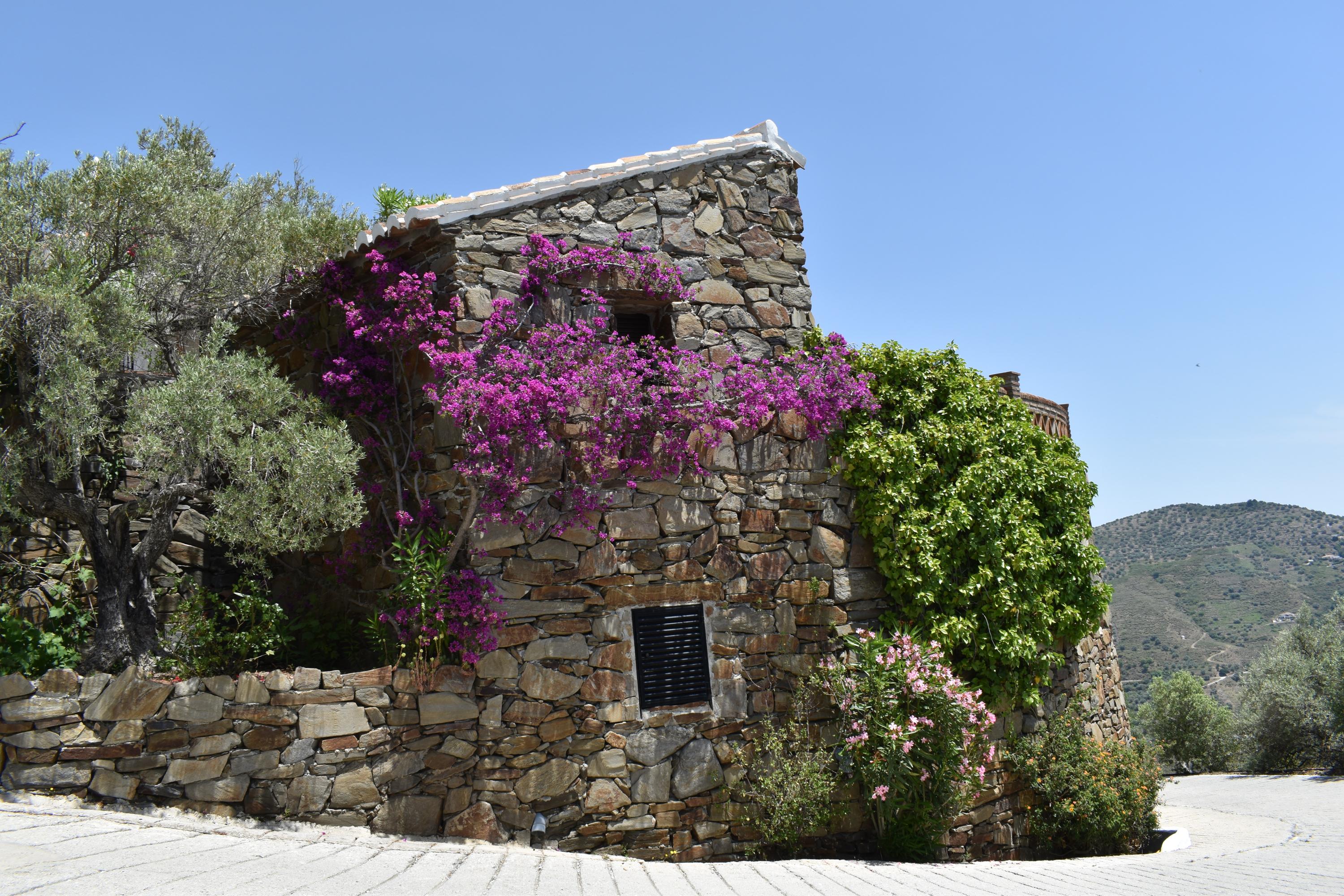 Finca Durillo