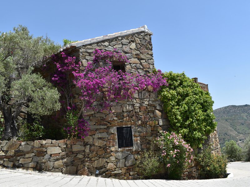 Finca Durillo