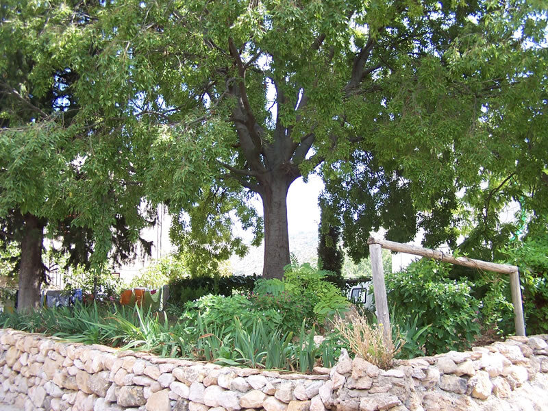 Casa Rural Casilla Del Almez