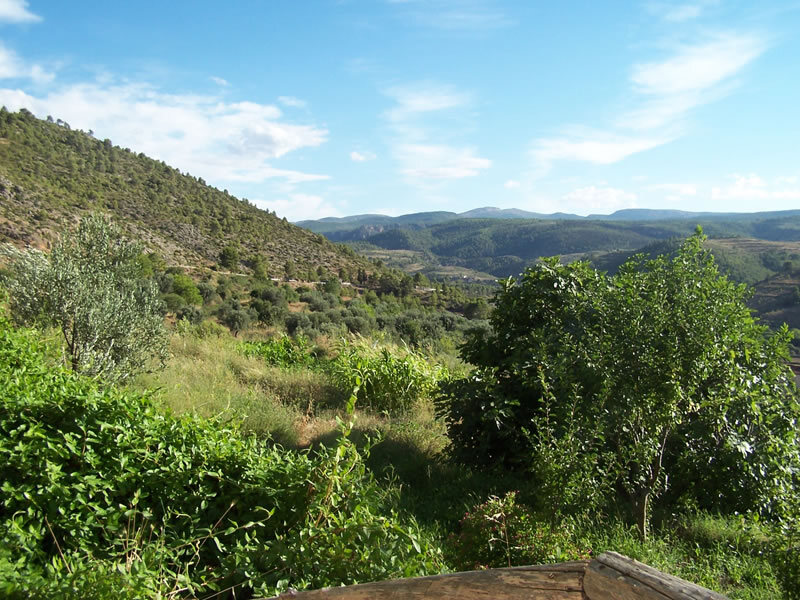 Casa Rural Casilla Del Almez