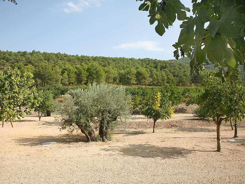 Finca La Celada