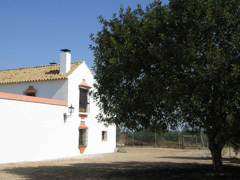 Hacienda De La Palma