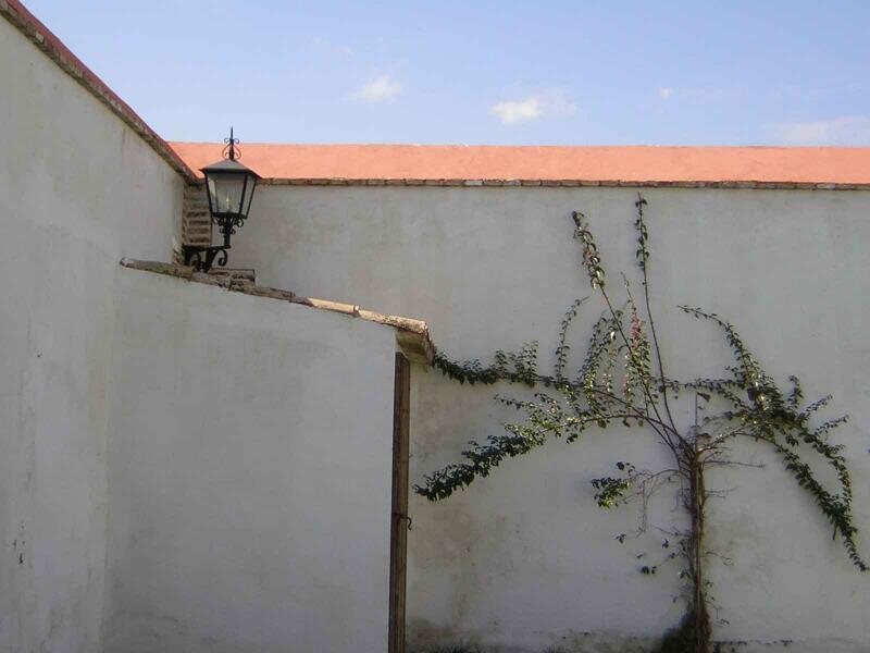 Hacienda De La Palma