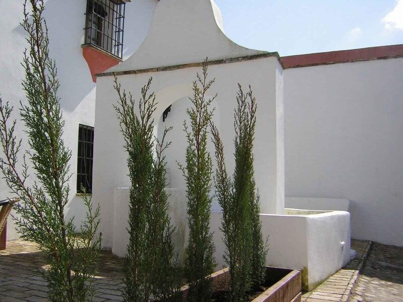 Hacienda De La Palma