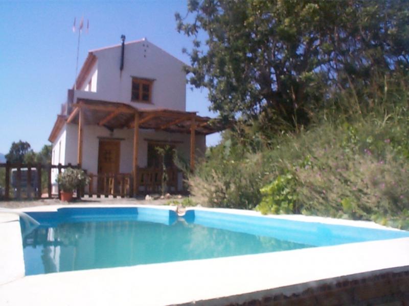 Algarrobos De Ardite