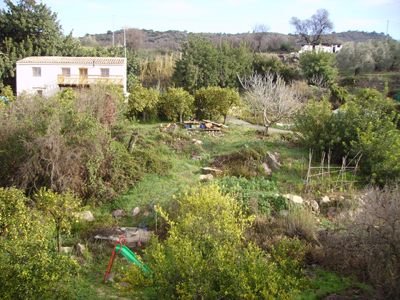 Algarrobos De Ardite