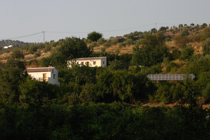 Algarrobos De Ardite