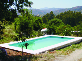 Algarrobos De Ardite