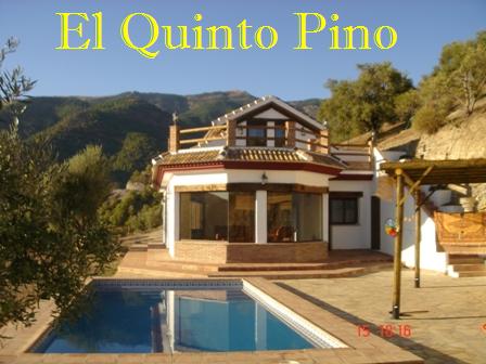 El Quinto Pino