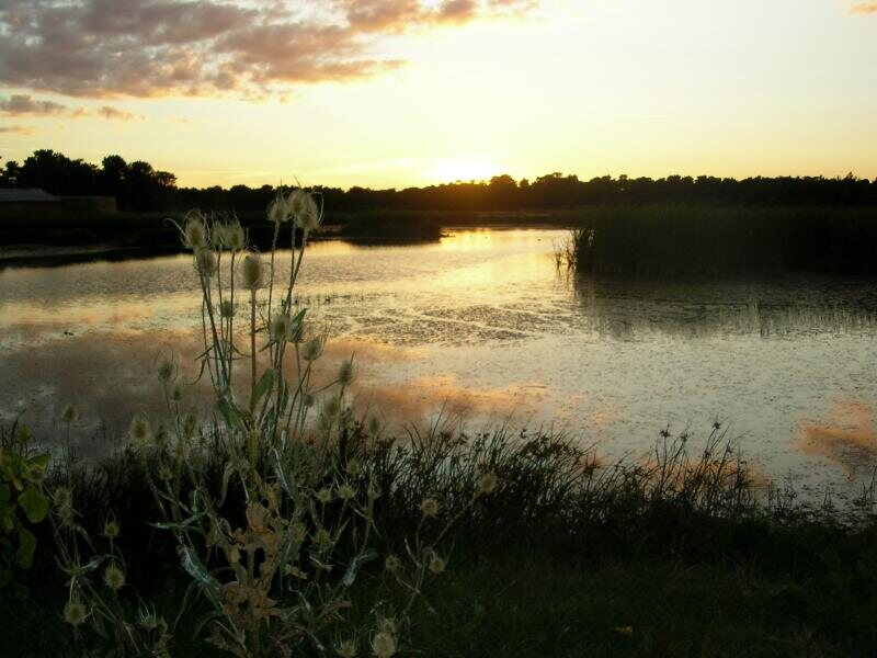 La Morada