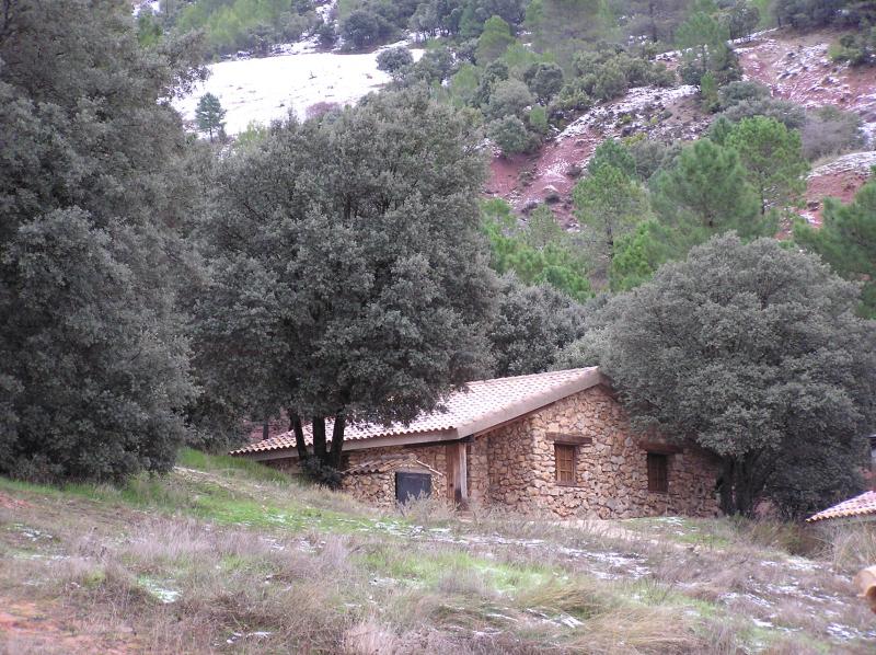 Finca Los Muflones