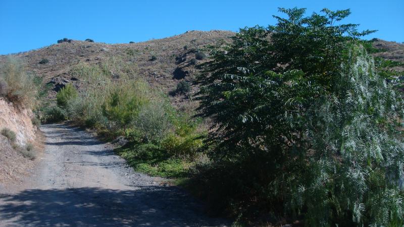 Cortijo Lorenzo