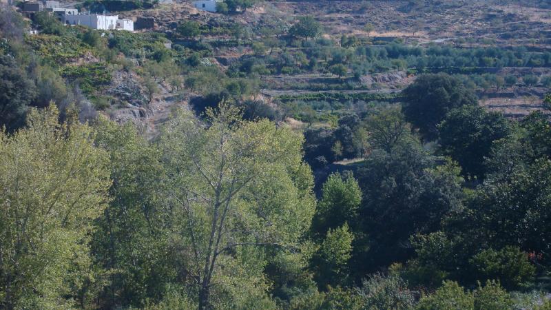 Cortijo Lorenzo