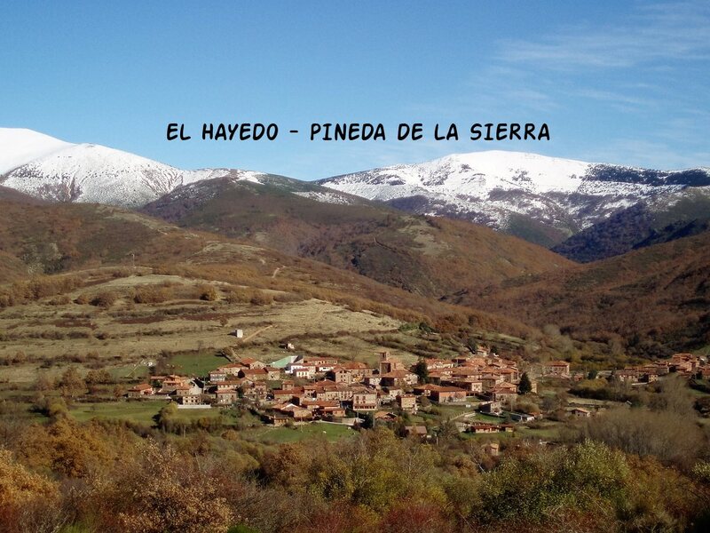 El Hayedo
