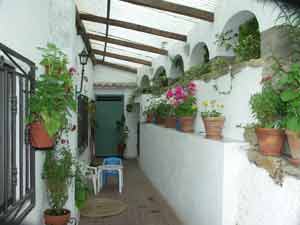 Masegosa