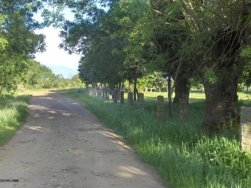 Casa Rural Carmen