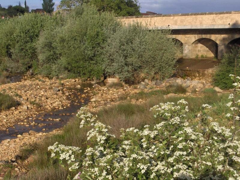 Casa Rural Carmen
