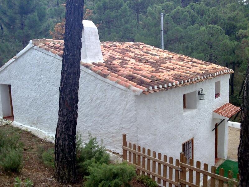 El Puente