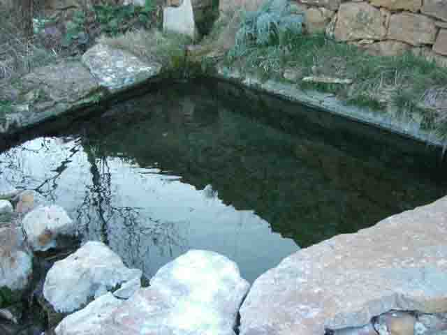 Mas De Les Forques I
