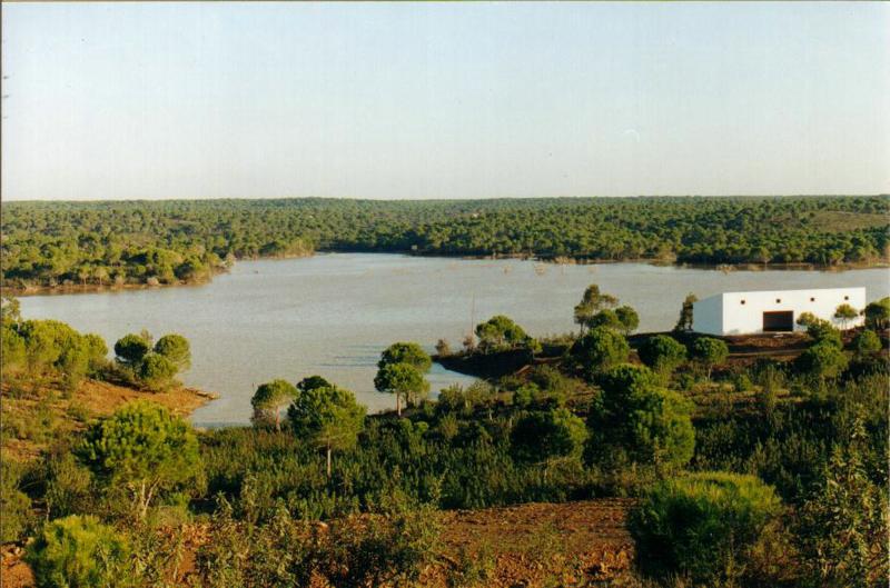 WAINGUNGA