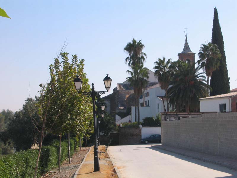 Los Olivos