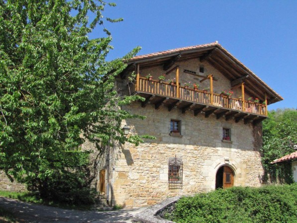 Arginenea