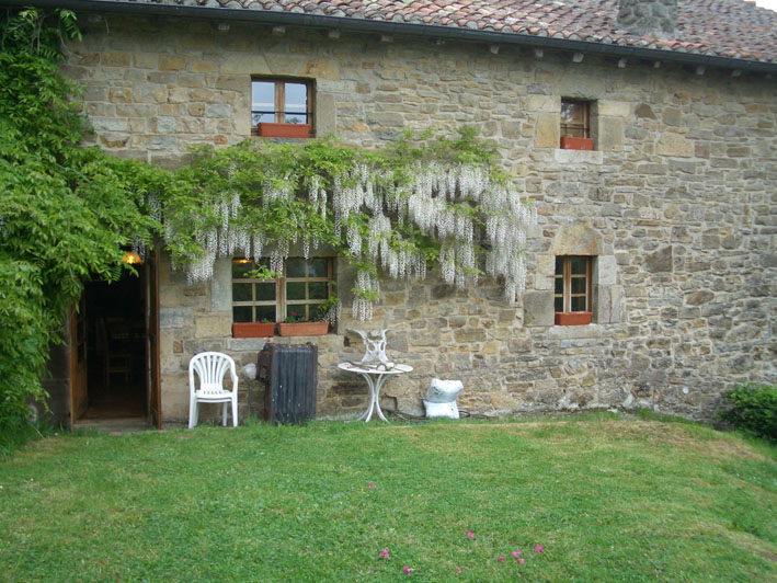 Arginenea