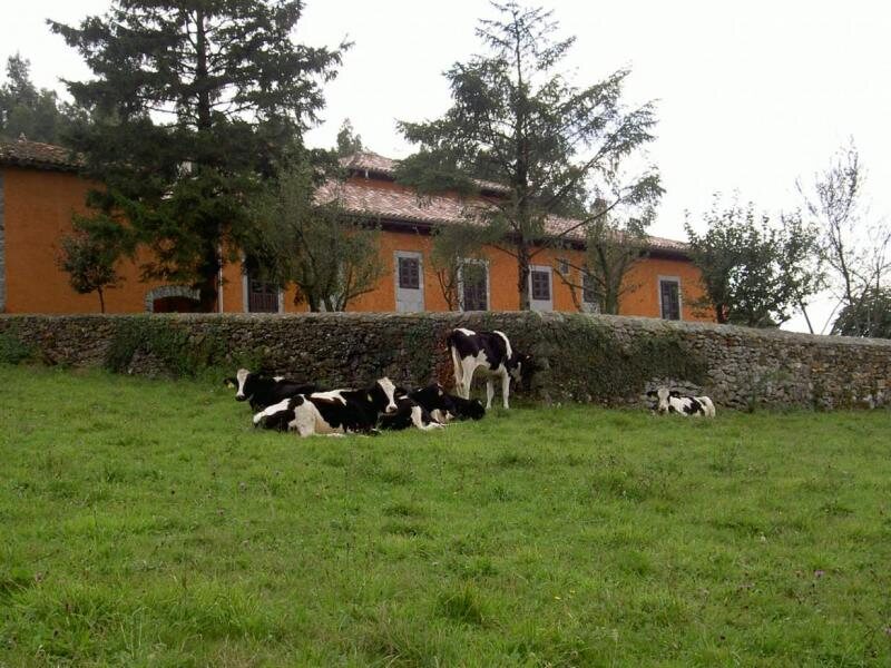 Hotel Quintana Del Caleyo