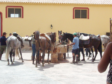 Casa Rural Cerro Moreno