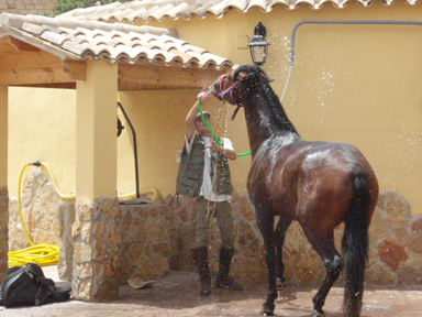 Casa Rural Cerro Moreno