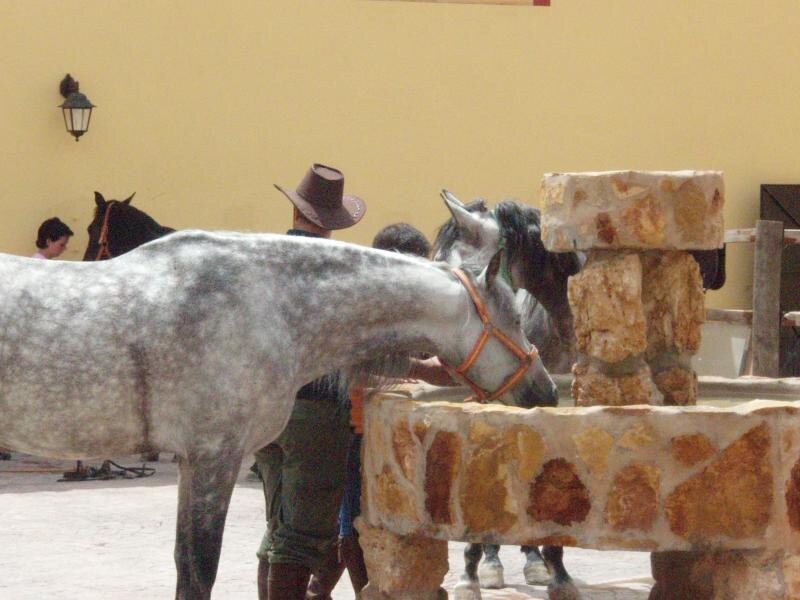 Casa Rural Cerro Moreno