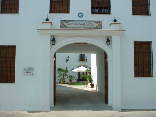 Hacienda Olontigi