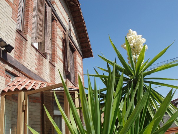 La Mansion De Navalcarnero