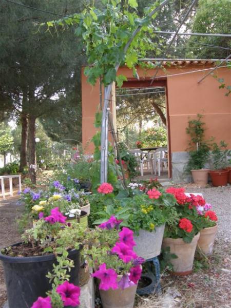 La Derrubiá