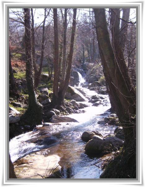 La Ondina del Madrigal