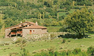 Cruz del Gallo
