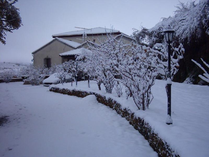 Casa Los Tejos