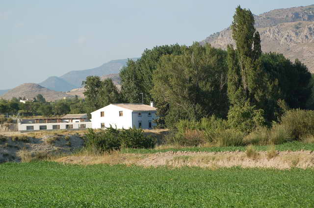 Molino del Paso