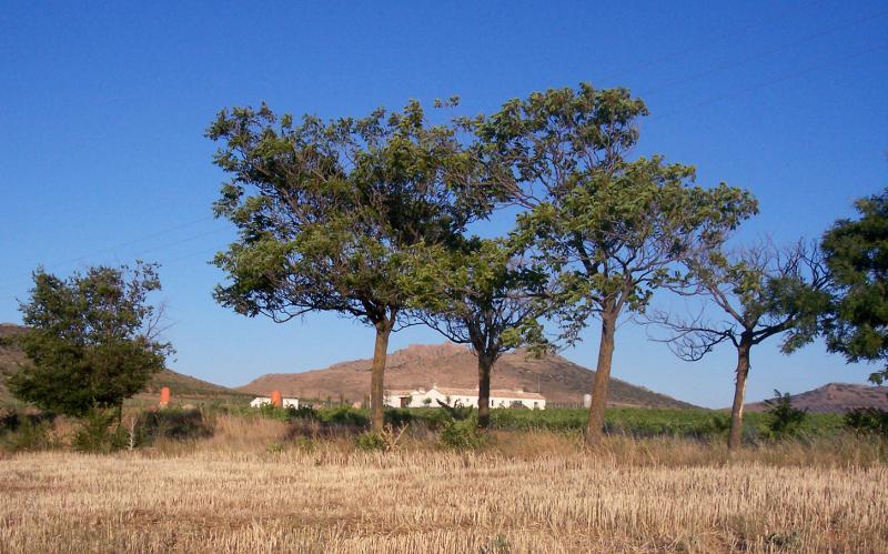 La Quinteria De Mora