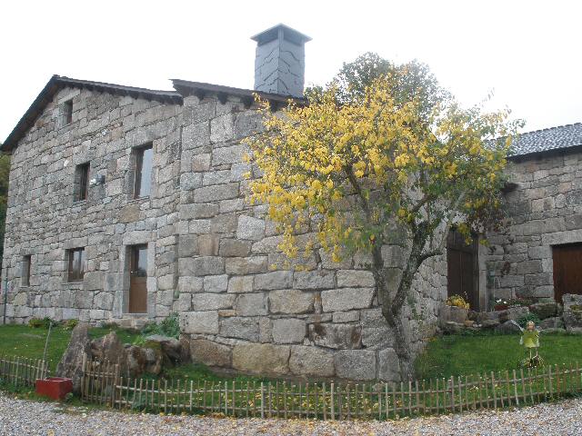 A Aira DA Petada
