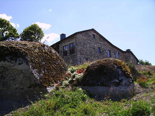 A Aira DA Petada