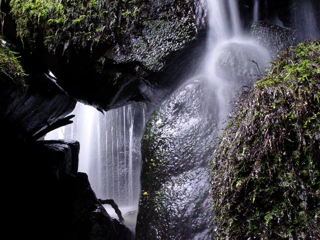 A Aira DA Petada