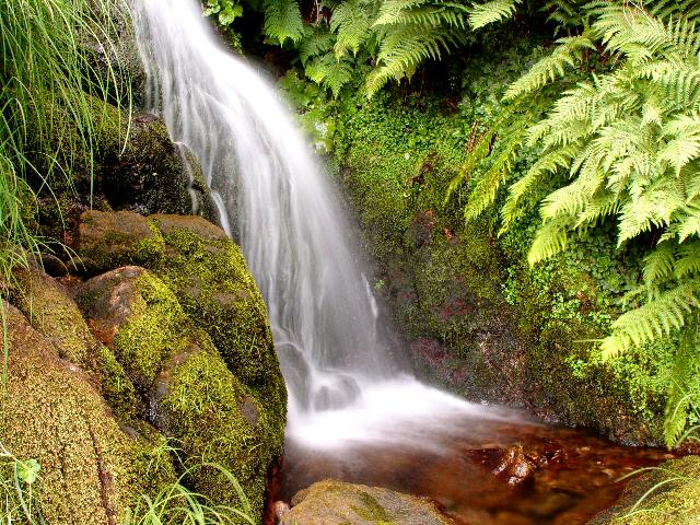 A Aira DA Petada