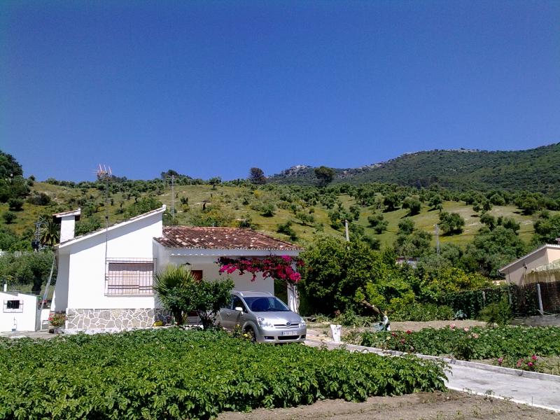 Casa Rural Las Buganvillas
