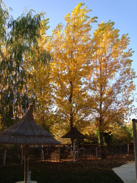 La Villa Rural